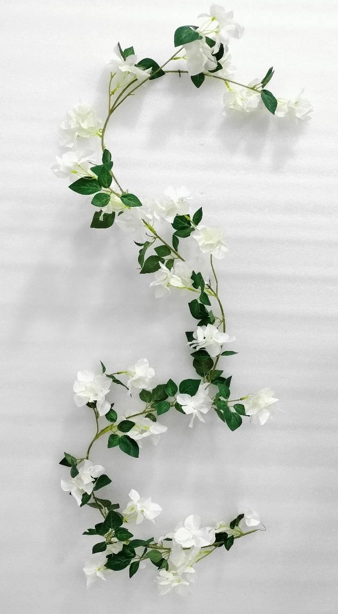 Bougainvillea Creeper x1 180cm